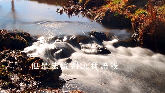 但是法院判决我赔钱 但是法院判决我赔钱