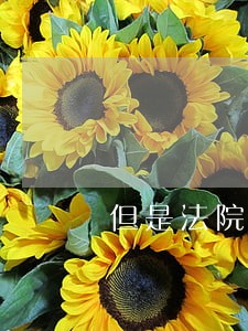 但是法院判和解 但是法院判和解