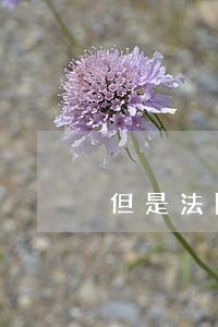 但是法院判处的罚金没交 但是法院判处的罚金没交