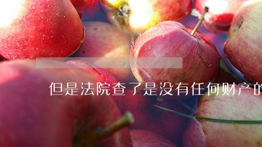 但是法院查了是没有任何财产的 但是法院查了是没有任何财产的