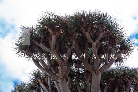 但是法院要什么回执单