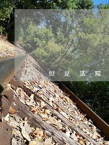 但是法院说他没有钱 但是法院说他没有钱