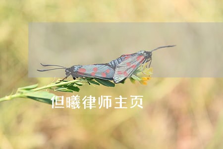 但曦律师主页 但曦律师主页