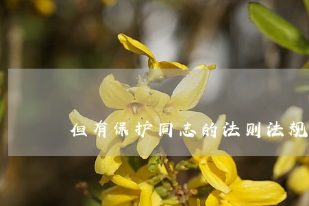 但有保护同志的法则法规吗 但有保护同志的法则法规吗