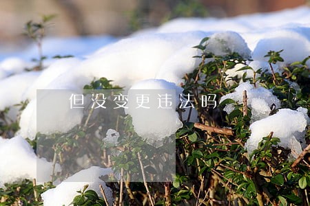 但没变更违法吗 但没变更违法吗