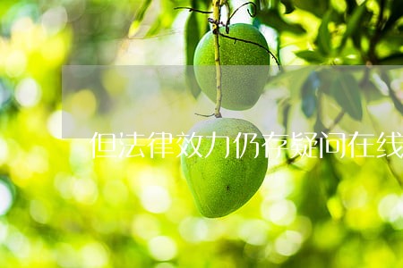 但法律效力仍存疑问在线收听 但法律效力仍存疑问在线收听