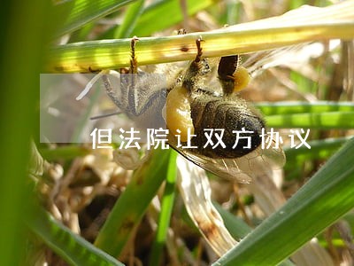 但法院让双方协议 但法院让双方协议