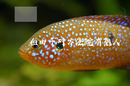 但由于对方法院有熟人 但由于对方法院有熟人