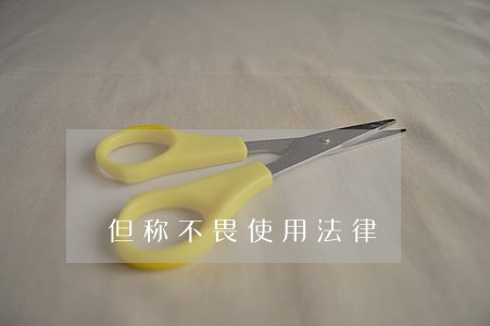 但称不畏使用法律 但称不畏使用法律
