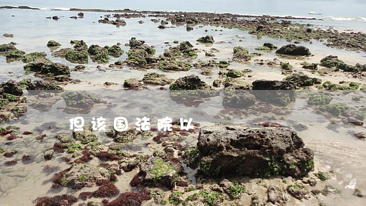 但该国法院以 但该国法院以