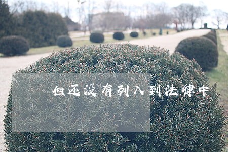 但还没有列入到法律中 但还没有列入到法律中