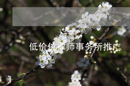 低价位律师事务所推广 低价位律师事务所推广