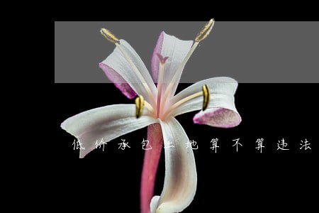 低价承包土地算不算违法违纪哎 低价承包土地算不算违法违纪哎