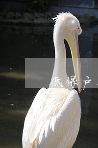 低保户怎么申请法律常识 低保户怎么申请法律常识