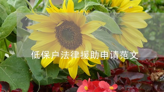 低保户法律援助申请范文 低保户法律援助申请范文