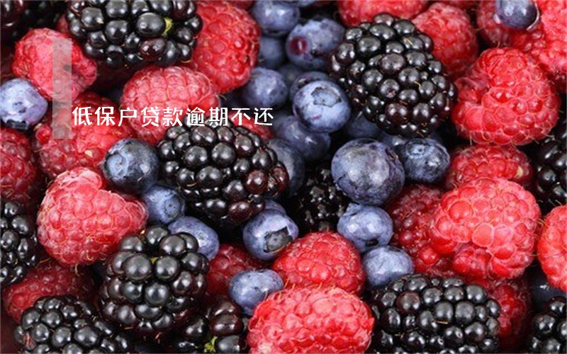 低保户贷款逾期不还 低保户贷款逾期不还