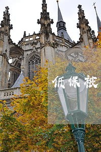 低保被告是不是可以免交诉讼费