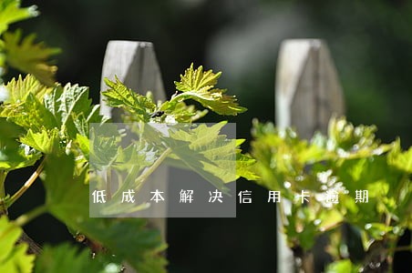 低成本解决信用卡逾期 低成本解决信用卡逾期