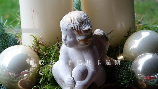 低收入证明信用卡逾期 低收入证明信用卡逾期