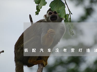 低配汽车没有雾灯违法吗