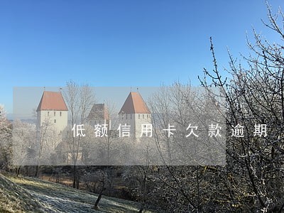 低额信用卡欠款逾期 低额信用卡欠款逾期