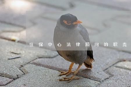 住保中心法律顾问的职责 住保中心法律顾问的职责