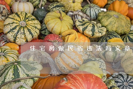 住宅房做民宿违法吗文章资讯