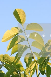 住宅贷款逾期催收公司 住宅贷款逾期催收公司