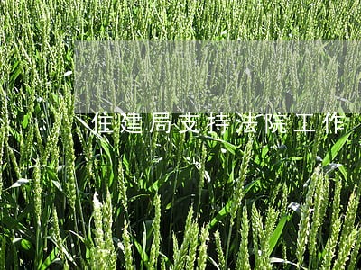 住建局支持法院工作 住建局支持法院工作