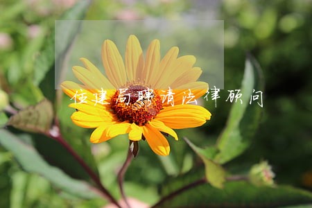 住建局聘请法律顾问 住建局聘请法律顾问