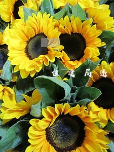 住建局违法占地违法建设 住建局违法占地违法建设