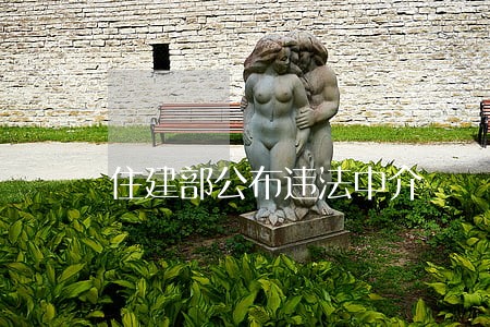 住建部公布违法中介