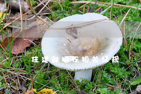 住建部招标相关法规 住建部招标相关法规