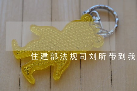 住建部法规司刘昕带到我省调研 住建部法规司刘昕带到我省调研