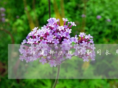住建部法规司副司长周韬 住建部法规司副司长周韬