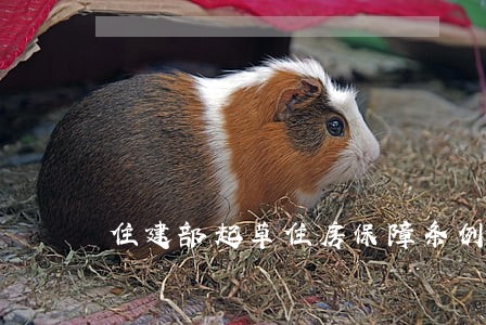 住建部起草住房保障条例 住建部起草住房保障条例