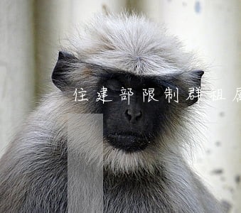住建部限制群租属于越权违法行为 住建部限制群租属于越权违法行为