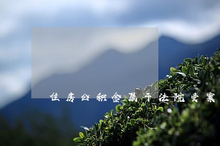 住房公积金属于法院受案范围吗