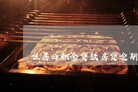 住房公积金贷款房贷逾期 住房公积金贷款房贷逾期