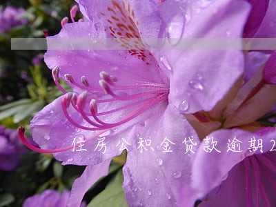 住房公积金贷款逾期2天
