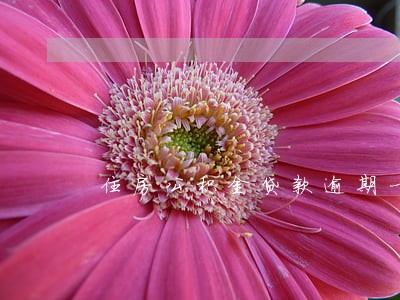 住房公积金贷款逾期一次 住房公积金贷款逾期一次