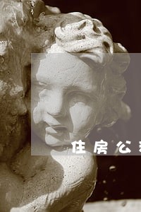 住房公积金贷款逾期了怎么还 住房公积金贷款逾期了怎么还