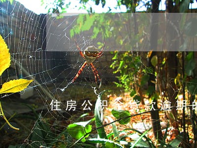 住房公积金贷款逾期的 住房公积金贷款逾期的
