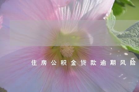 住房公积金贷款逾期风险防范