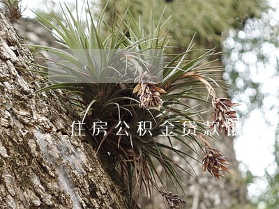 住房公积金贷款银行有逾期 住房公积金贷款银行有逾期