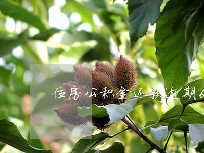 住房公积金还款逾期6次 住房公积金还款逾期6次