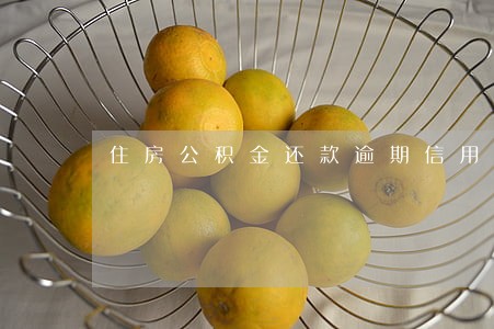 住房公积金还款逾期信用证明