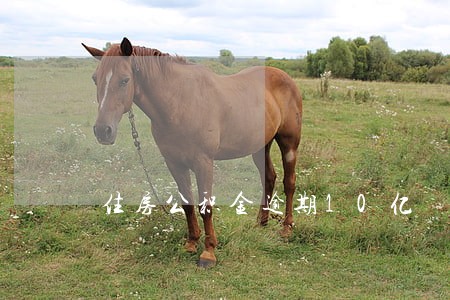 住房公积金逾期10亿