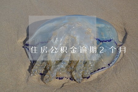 住房公积金逾期2个月 住房公积金逾期2个月