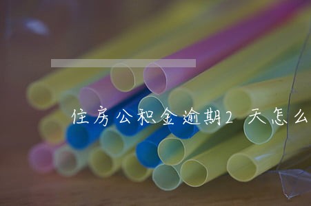 住房公积金逾期2天怎么还 住房公积金逾期2天怎么还